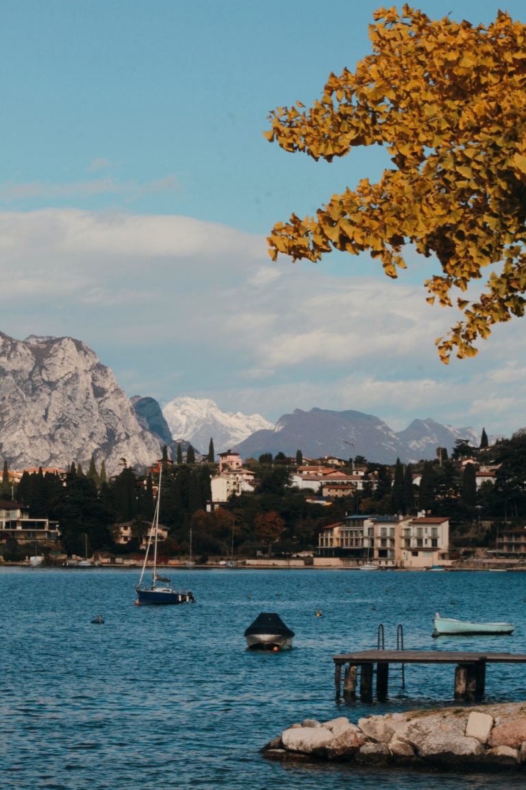 KOLORO_1704660370983